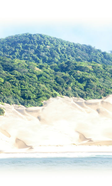 Sand dunes